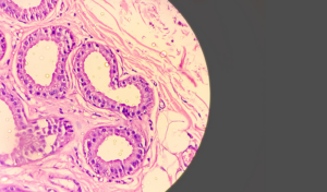 Light ochre, purple and light purple swirls.